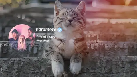 Somebody that i used to know x i'm not angry anymore#CapCut #gotye #paramore #fyp 
