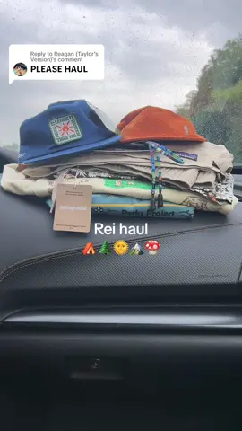 Replying to @Reagan (Taylor’s Version) Rei haul ⛺️🌲🌞🏔️🍄 #rei #parksproject #patagonia #fyp #granolagirl #granolaoutfit #patagoniabaggies #reihaul #noahkahan #pennsylvania #vanlife #rvlife #travel #leaveitbetterthanyoufoundit 
