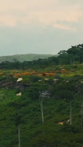 ʙᴜᴛ ꜰʀᴏᴍ ʜᴇʀᴇ ᴡᴇ ᴀʀᴇ ᴍᴏᴠɪɴɢ ᴍᴏᴠɪɴɢ ꜰᴏʀᴡᴀʀᴅ.. !! #movie #netflix #beastofnonation #series #movieclips #fypシ #trend #idriselba #appletv 