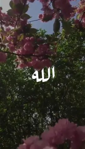 سبحان المبدع فى خلقه #متابعه #عبدالحلبم_حافظ #اغاني _دينية#اكسبلور #اكسبلورexplore #ليك_متابعه_فولو #اغاني _بدون_موسيقى#