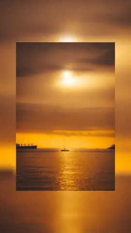 how to make your photos GOLDEN! ☀️📸 #golden #sunset #warm #goldenhour #Summer #beach #sunrise #lightroom #lightroompreset #photography #fyp 