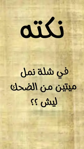 #نكت  #نكت_مضحكة #ضحك 