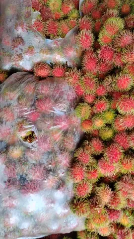 Perks of travelling..  🍋🍏🍉#laguna #rambutan #lansones #traveltiktok #fruits #CapCut 