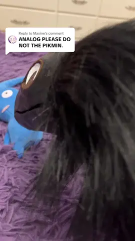 Replying to @Maxine analog hungry