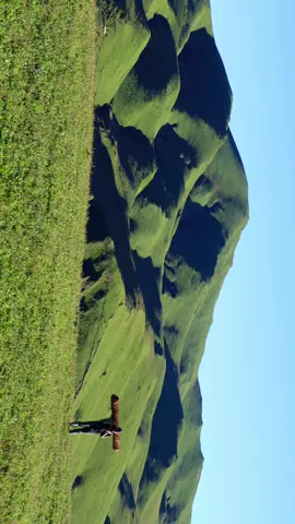 Warning ⚠️ You may fall in love with these views 😍 // Trebeni patan, Badimalika (Farwest Nepal) ❣️ // #badimalika #trebenipatan #sudurpaschim #farwestnepal #nepal #foryou #himalayabhatt #phaeruwa 