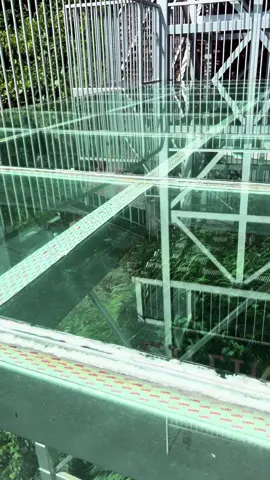 #harnesszipline 