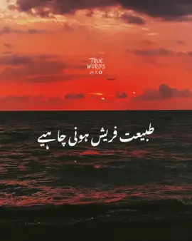 Subah jalde utna chaye | Get up early in the morning 🌅 #sadstatus #imrankhan  #sad  #poetry  #viral  #goodmorning  #islamic  #islamicstatus 