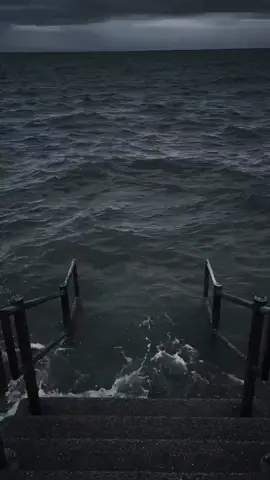 Có tý ngoại ngữ sang hẳn#xuhuong #trending #viral #meme #haihuoc 