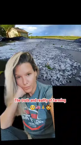 No pity needed just sharing the challenges of farming 🤠🙏 We've been blessed for 40+ yrs we all have to take the hits. #missjamielyn🇺🇸 #minnesota #storm #pray #greenscreen 