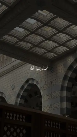 أرح سمعك وتدبر الأيات🤍#قران #ياسر_الدوسري #قران_صلي_علي_النبي 