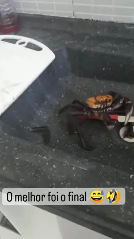 Carangueijo com fac@ #caranguejo #molusco #sol #praia #cimidagurmed #comidadomar #frutosdomar #frutosdomar🦀🦞🦐🦑 