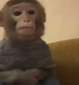 Photo 5000😂😂😂#benintiktok🇧🇯 #fyp #funny #cotonou229🇧🇯 #tiktokbeninois🇧🇯 #tiktokfrance🇨🇵 #viraltiktok #photographie 