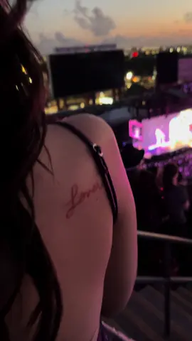 When you’re nothing but a Lover 🫶🏼 #taylorswift #lover #cucu #theerastour #loveralbum #tampa #florida 
