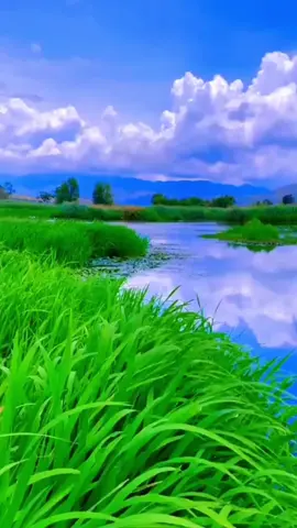 May bay qua,ánh trăng chiều dần vào ruộng đồng bao la. #tinhluaduyentrang  #capcut ,#xuhuong  #nhacbolero,#bolerohaynhat  #nhactrutinh 