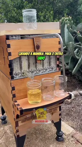 Essa colmeia que colhe mel automático igual ao Minecraft! #tiktokviral #videosvirais #abelhas #curiosidade #abelhassemferrao #curiosidades #viral #apicultura #mel 