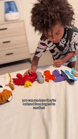 #lininguptoys #autisstim #stimming #stimmingisnormal #stimmingpositivity #autismfamily✔️ 