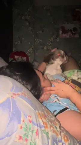 Ambot sayo, Geon! 😂 #fyp #foryoupage #tiktok #tiktokph #dogtok #pets #dogs #family 