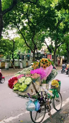Nhớ chiếc xe hoa ở đường Phan Đình Phùng, Hà Nội 💐 #hanoi #flowers #xuhuong #simehong #rossiflower 