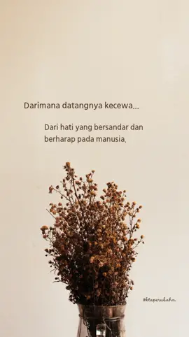 Berharap kepada manusia adalah sakit hati yang kamu rencanakan sendiri #fyp #positivevibes #selfreminder #ktaperubahn 