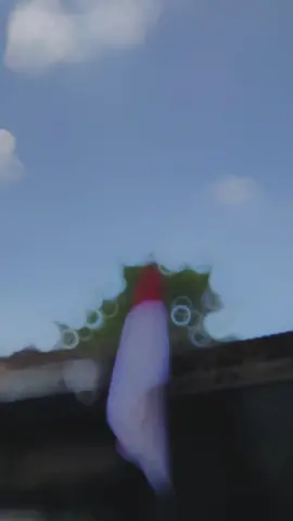 🔥🔥🔥 #fyp #fypシ #fizr #fizrindonesia #fizrroadrace #fizrmodifikasi #fizr_2stroke #CapCut 