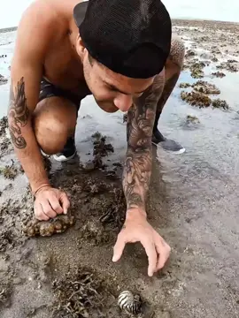 #survival l #bushcraft  #camping  #outdoor  #nature  #Outdoors