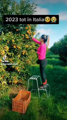 #neiperte #foryou #foryoupage #viralvideo #5pasidebine 