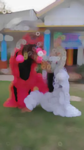 #bahanstorymu #barongandevil  @shiman03 karo ayang😁