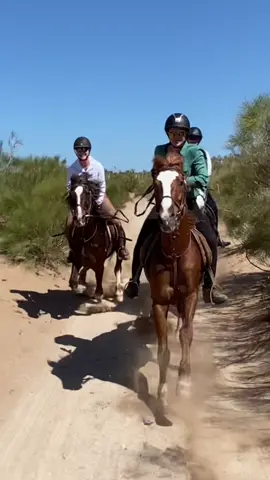 Just girls having fun with horses.  WHERE?? IN ESSAOUIRA! 🇲🇦🐎 . . . . . . . #morocco #horses #horsesoftiktok #horsesoftiktok🐴 #equestrianvibes #equestrians #horse #horselover #caballos #cavalo #cavalli #pferd #cheval #girlssupportgirls #horsegirl #horseshoers #horstok #horsesontiktok #horsesofinstagram 