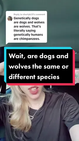 Replying to @shortyk25 #Science #genetics #dogs #wolves #evolution 