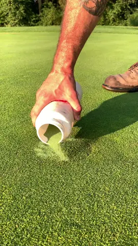 #cupcutting #golftiktok #asmr #asmrsounds #pinplacement #golfcoursemaintenance #golf #golftok #changecups #turfmanagement #redwings #redwingboots 