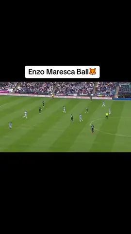 Enzo Maresca Ball🦊 #lcfc #leicestercity #fyp #viral #football #footballtiktok 