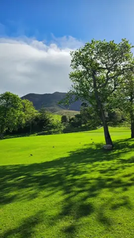 📍Lunchin' at Simon's Restaurant, Groot Constantia Estate 🦆#restaurant #Foodie #foodtiktok #lunch #lunchtime #eat  #recommendations #experience #southafrica #capetown #tiktok #vlogger #Lifestyle #viral #follow @Jason Perumal 