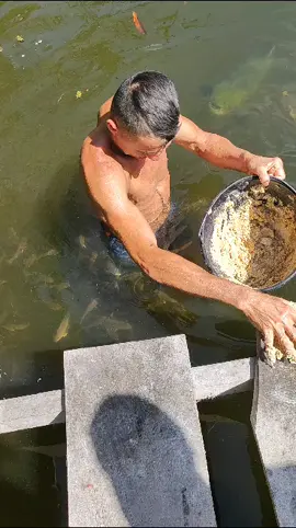 #valdemir  encantador de peixes gigante 