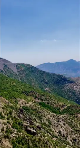 Warê Me Cenge! 🦅✪ #waremecenge #çîya #komaberxwedan #xelilxemgin #kurdistan #kürt #çiyayegabar #cudi #kato #cilo 