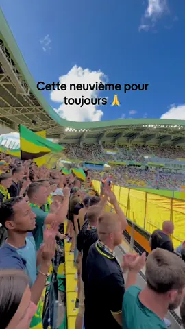 Seule chanson que je n’arrive pas a chanter … Emiliano Sala à jamais Nantais #sala #fcnantes #ligue1 #pourtoi @FC Nantes @nantesfcsupporters 