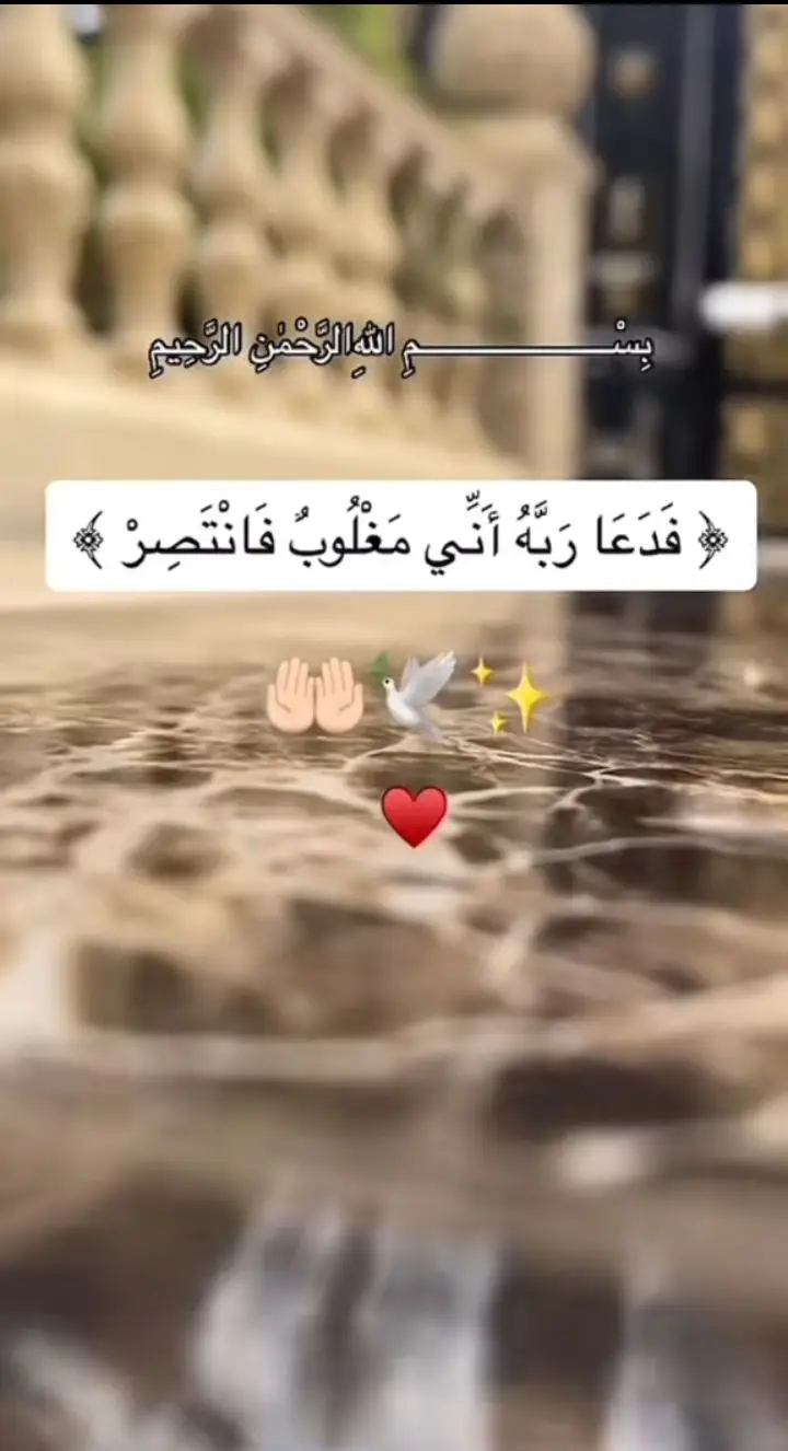 فدعا ربه اني مغلوب فانتصر 🦋#فدعا_ربه_انى_مغلوب_فانتصر✨ #أرح_سمعك_وقلبك #راحة_نفسية_للقلب🤲📿💕  #قرآن_بصوت_خاشع🕊️🧡🧡 #القران_الكريم_راحه_نفسية💙🎧  #quran #اسلاميات_دينيه #ارح_سمعك #القران_راحة_نفسية #لايك_متابعة_اكسبلور #fypシ #foryoupage #foryou #fyp #viral #اكسبلورexplore❥☹️ #explore #explore #viraltiktok 