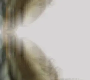 Young fly on the track🪰#youngsheldon #youngflyonthetrack👩🏿‍🦲👩🏿‍🦲👩🏿‍🦲 #fly #track#fyp #foryou #fyppppppppppppppppppppppp #fypシ 