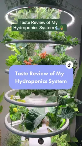 I have a love/loathe relationship with this lettuce grow hydroponics system. I’m still happy I purchased it, but definitely need to fine tune the fertilizer/varieties I choose to grow in it. #hydroponics #hydroponicsystem #growfood 
