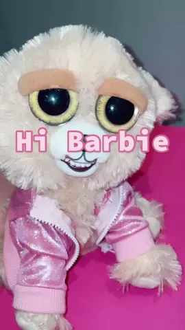 Hi Barbie... 🩷 #feistypets #barbie #BarbieMovie #hibarbiehiken 