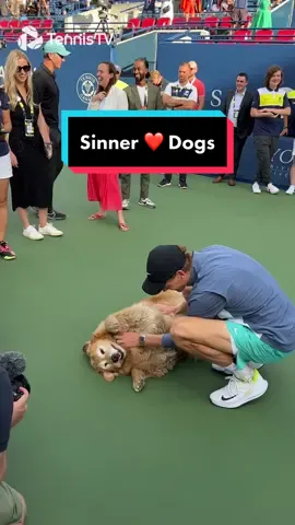 Elway getting in on the action 🐕🤣 #tennis #tennistv #atp #sports #sinner #dog #dogvideos 