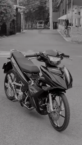 Chào sáng đầu tuần nha 500ae #thailealley #hạphuộc #y15zrvietnam🇻🇳 #exciter150_stylemalaysia 