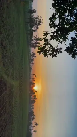 Di tempat yang sama, di waktu yang berbeda #landscapersoftiktok #landscape #NTB #wisatalombok #sasaklombok #fypシ゚viral #wisataindonesia #cinematicvideo #sunrise 