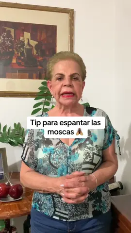 Menciona a alguien que pueda servirle y sígueme para más tips🥰 #trucoscaseros #consejoshogar #matamoscas 