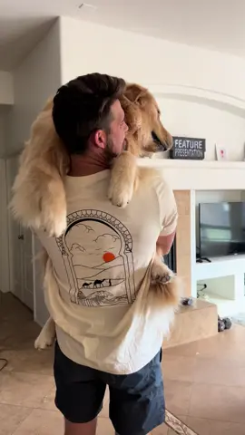 Excited to see dad after he got back from a mini vacation 😍 dads stoked to rock his new shirt ! Check out @Moroccan Roots for some dope designs ! #goldenretriever #goldenbros #tub #blue 