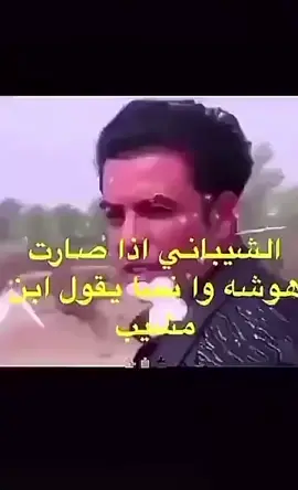#ابن_مشيب #ضحك #وناسه #انت_ضايع 