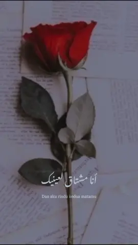 ya Habibi latruhi #arabic #arabicsong