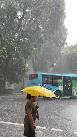 Gom hết chân tình mùa hạ,em gửi gắm vào mùa thu #xuhuong #hanoi #muathuhanoi 