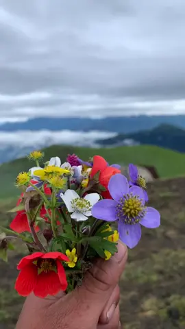 Chauri lake rukum east nepal 📍#dilchanvlogs #dilchanphotography #rukumeast🇳🇵 #westnepal🇳🇵 