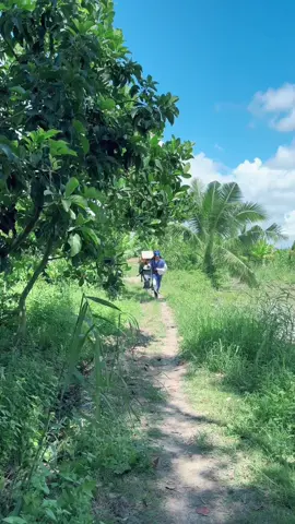 Lương Sơn thống chúc anh liễu tập 1#tuncuibap #windnet #vietdrama 