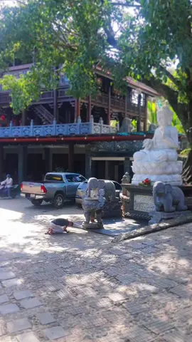 Ai cũng có nỗi buồn cả, hình ảnh này cứ động mãi trong tôi... #lạyPhậtsámhối #lạyPhật#ĐạoPhật #xh 